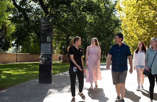 Iconic Adelaide Walking Tour