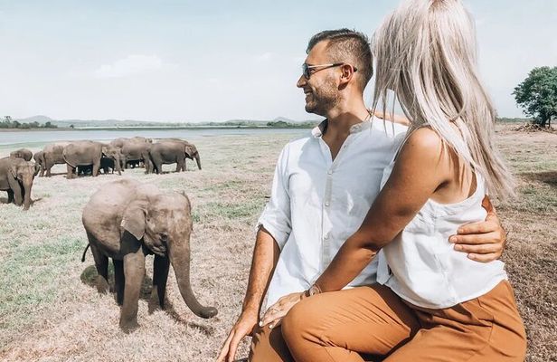 Majestic Mammals Of Sri Lanka: Whale & Elephant Safari Tour
