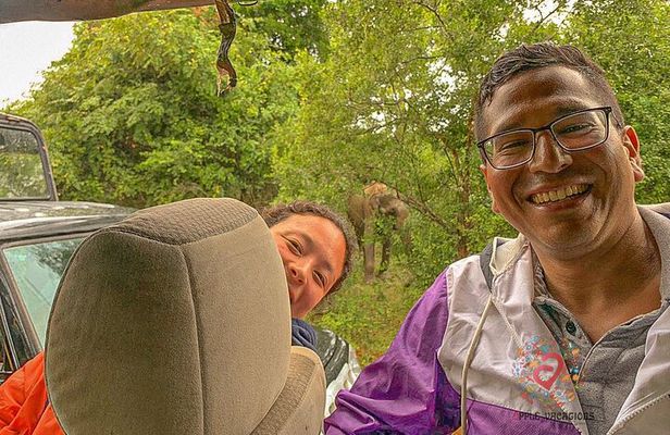 From Ella - Day Excursion to Yala National Park