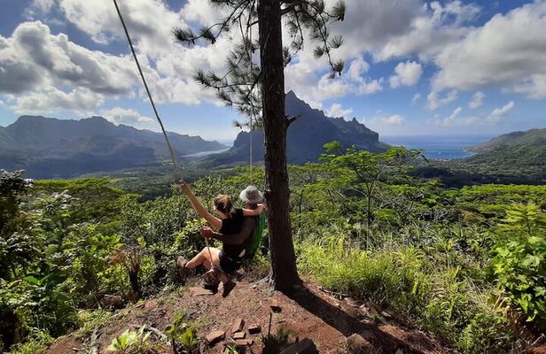 Private Half-Day Hike in the Opunohu Valley in Moorea