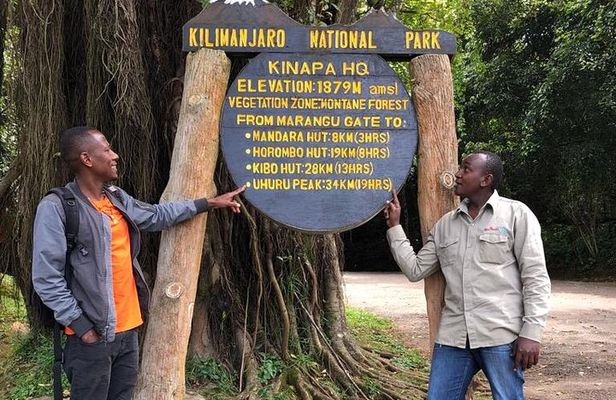 6 Hours Kilimanjaro Day Hike to Mandara Hut and Maundi Crater