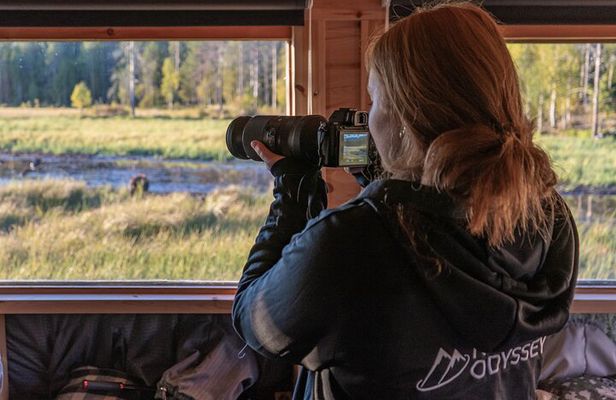 Bear and Arctic Animals 2 Day Trip from Rovaniemi