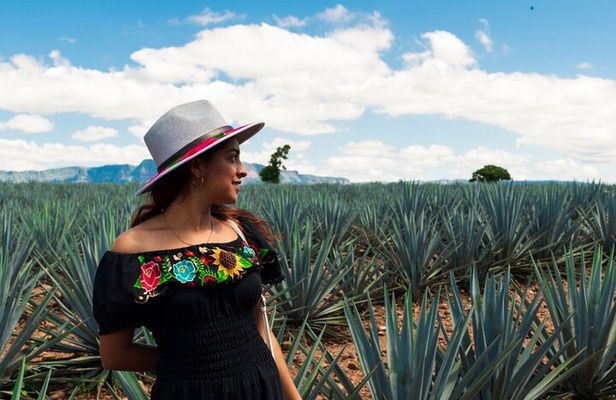 Tequila Full-Day Discovery Tour of Amatitan