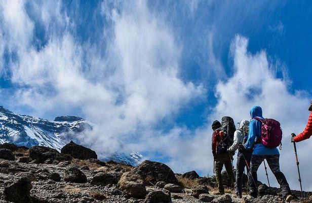 Private Full Day Tour to Kilimanjaro National Park