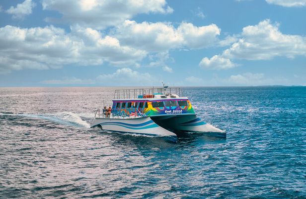 Vieques: Beach and Snorkeling Tour by Catamaran from Fajardo