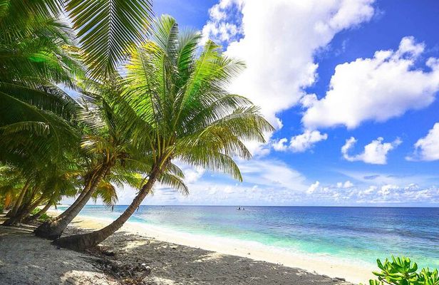 5 islands tour with Lunch Snorkeling and Plankton