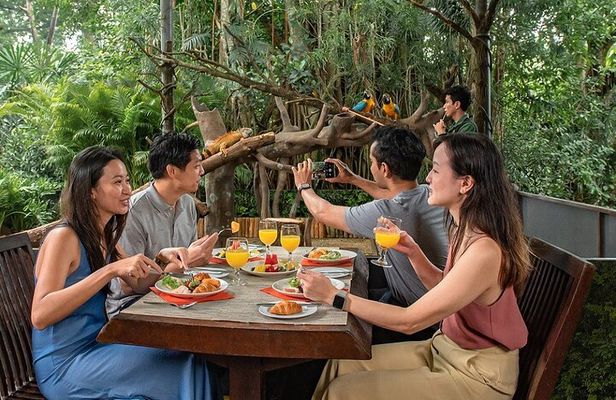 Morning at the Zoo with 1-way Transfer (Free & Easy)