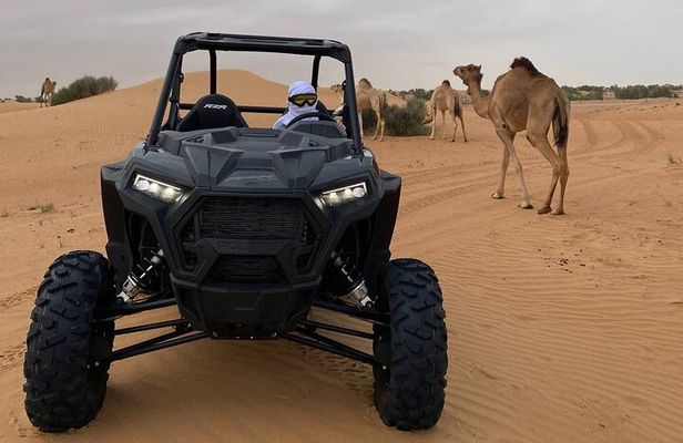 Dubai: Extreme Red Dune Buggy Desert Safari Adventure