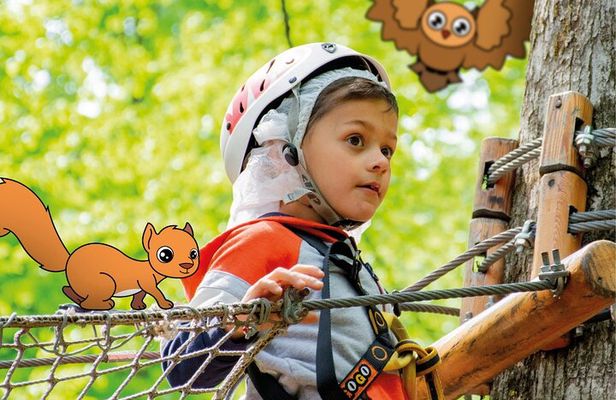 Children Daily Ticket for Adventure Park in Gravedona