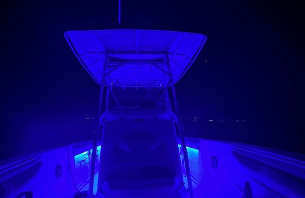 Night Snorkeling and Boat Experience with Appetizer and Drinks