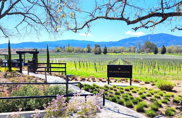 Sonoma and Napa Champagne Wine Private Tour Half Day