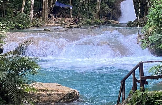 Private Horseback Riding with Blue Hole River Tour in Montego Bay