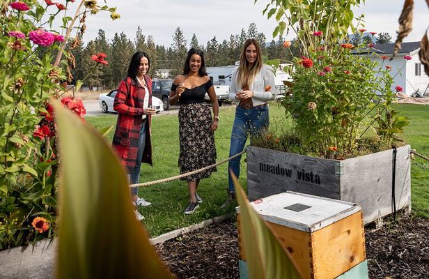 Kelowna E-Bike Bee Tour, Tastings, Organic Lunch & Audio Guide