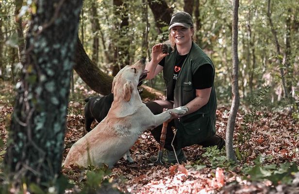 Truffle hunting & cooking tour