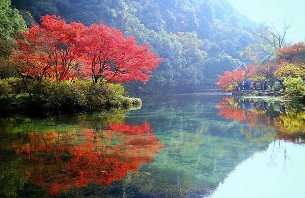 Half-Day Hangzhou Jiuxi Stream and Tea Plantation Experience