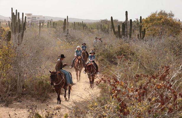 Horseback Riding Tour in Cabo San Lucas