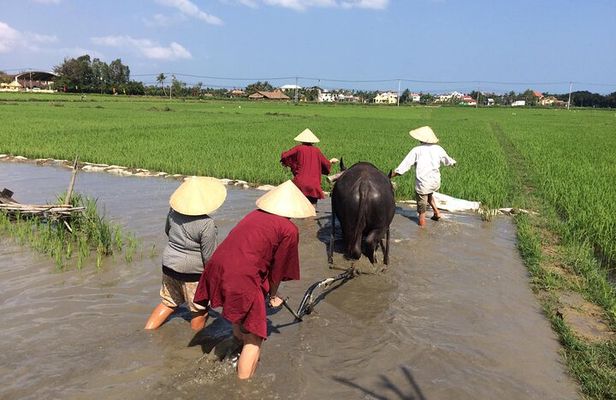 Hoi An Wet Rice Farming Tour Private Round Boat Fishing & Lunch