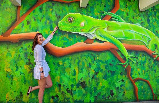 Art, Beach and Culture Island Tour with Kini Kini