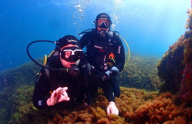 Private diving baptism in the Golf of Calvi