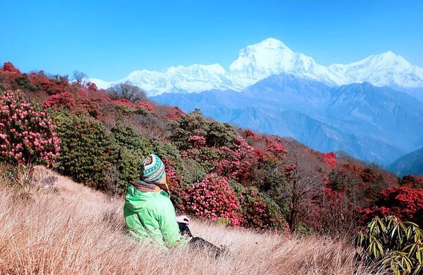 The Best of Nepal : 5-Day Trek to Ghorepani Poon Hill & Ghandruk