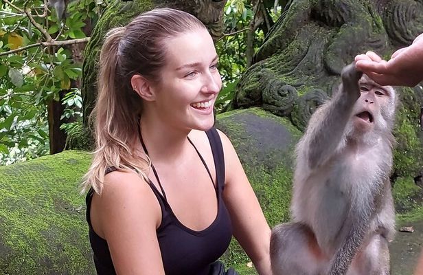 Full-Day Bali Island Tour Including Mt Batur And Sacred Monkey Forest Sanctuary