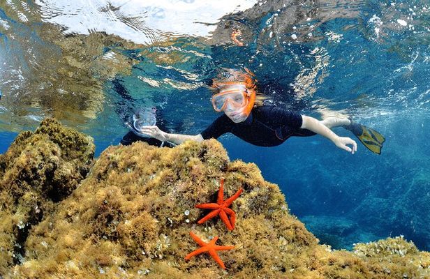 Boat Trip and Snorkeling in the Gulf of Calvi