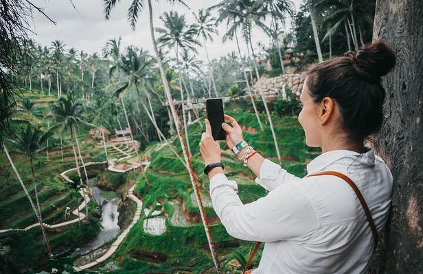 1-Day Ubud Tours All-Inclusive
