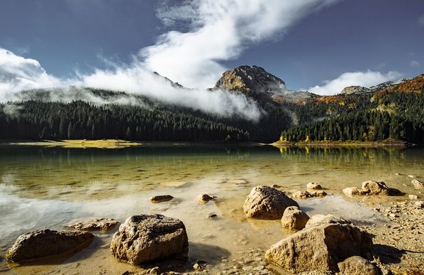 Montenegro: Black Lake and Tara Canyon Day Trip
