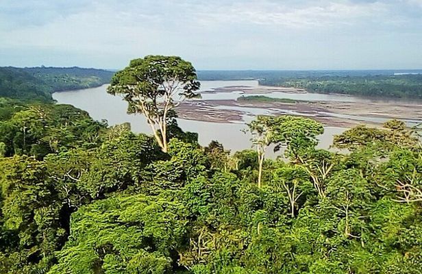 Yasuní and Limoncocha 4-Day Wildlife Adventure
