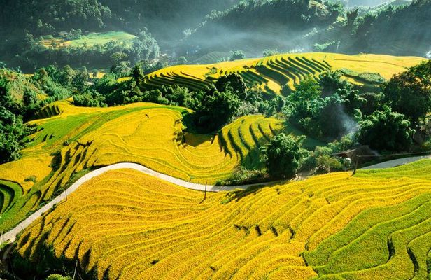 5-Day North Vietnam: Hanoi -Halong Bay -Ninh Binh-Sapa from Hanoi