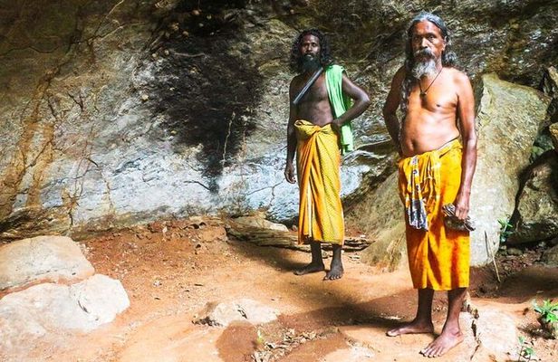 Full Day Private Tour to the Vedda Aboriginal Village