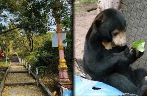 Cambodia Wildlife Sanctuary and Countryside Tour 