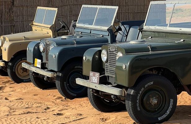 Dubai Heritage Safari: Falcon Show, Vintage Ride, 4-Course Dinner
