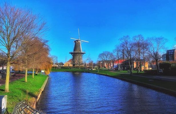 Dutch Windmills & Polder Walking Tour