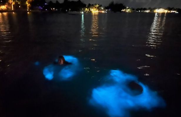 Private: Bioluminescence Tour
