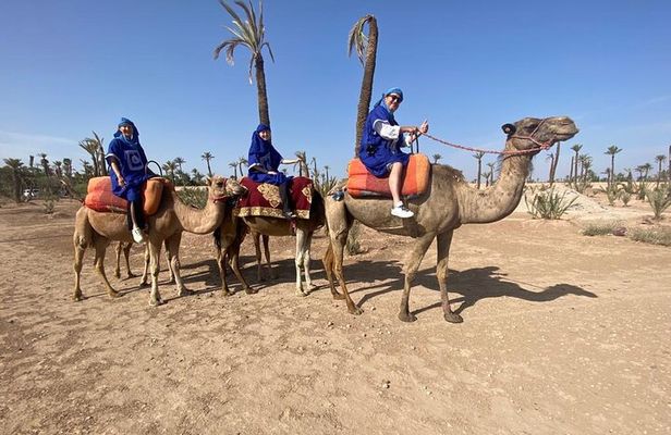 Day trip to Marrakech city from Casablanca