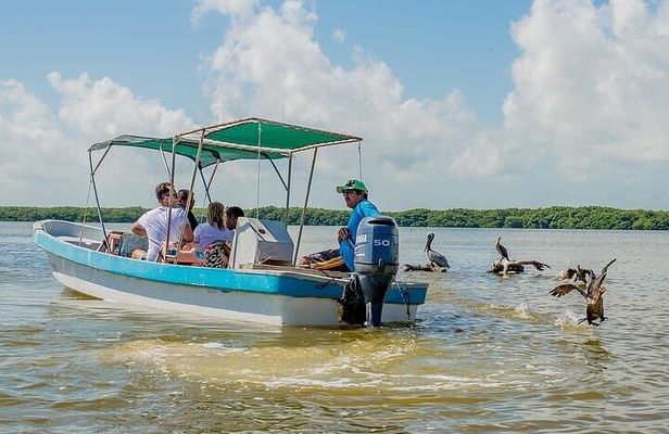 Boat Trip to the Biosphere Reserve in Celestún from Mérida
