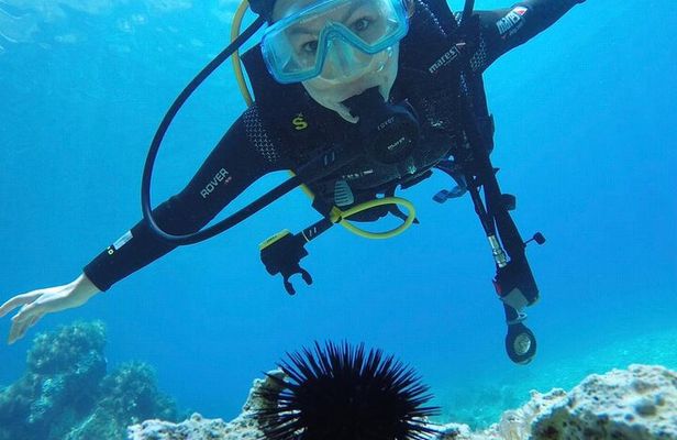 Scuba Diving Experience in Jale Bay Coral Reef