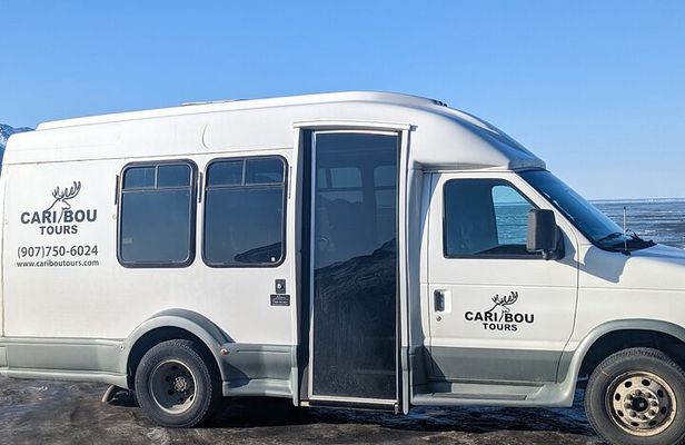 Full-Day Tour in Turnagain 