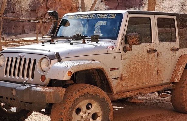 3 hour Private Tour in Chinle