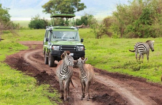 4-Day Northern Tanzania Camping Tour Safari