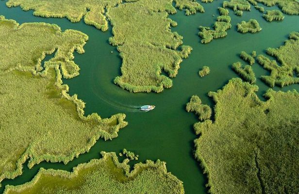 Full Day Dalyan (Turtle Beach) From Bodrum