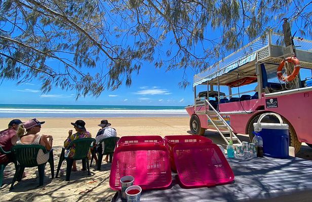 1770 Coastline Tour by LARC Amphibious Vehicle Including Picnic Lunch