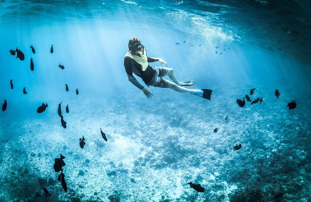 3-Hr Private Snorkeling and Dolphin Watching Tour at Muscat