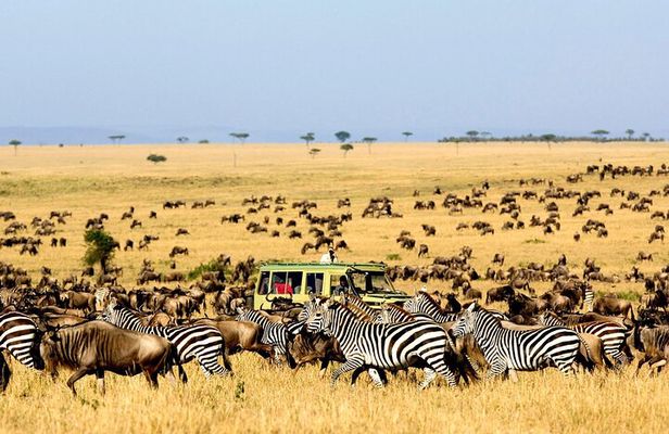Best Of Six Days Safari Camping safari