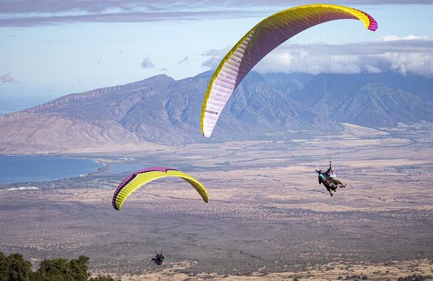 Paragliding Experience