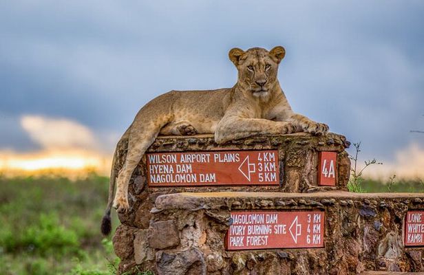 Private Tour to Nairobi National Park and the Karen Blixen Museum