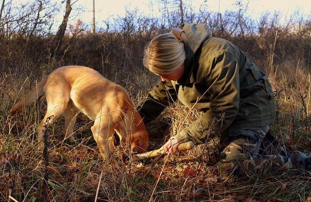 Private Truffle Hunting in Slovenia with meal - Zdenko Tartufi