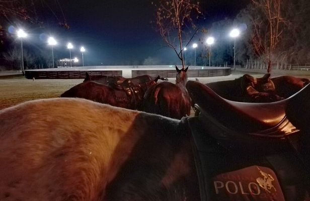 Polo Under the Stars and Argentine BBQ Evening Venue from Buenos Aires