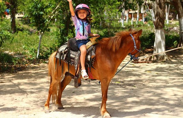Tequila Tasting, Cenote, Horseback Riding, ATV, Ziplines & Lunch
